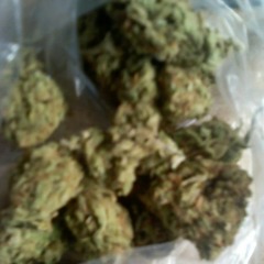 Roll Up