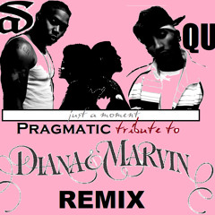 Nas & Quan - Just A Moment (Pragmatic "Tribute To Diana Ross & Marvin Gaye" Remix)