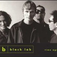 Black Lab - Weightless