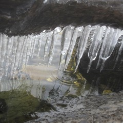 Under the Ice