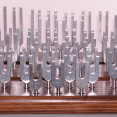 PlanetAsteroid Tuning Forks SAGE Concert