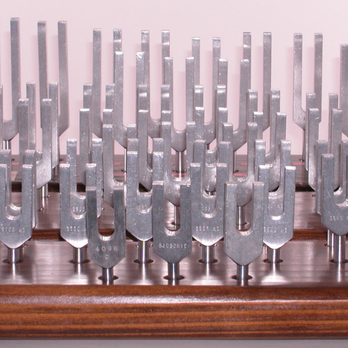 Stream Tuning Forks SAGE Concert by John Beaulieu