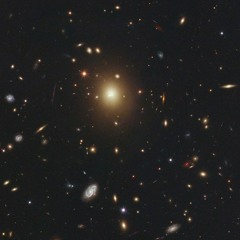 fms-DS001