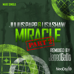 Julius Papp & Lisa Shaw - Miracle (Jarreds Come Out To Play Mix)