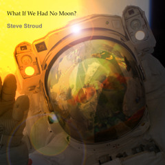 What If We Had No Moon? (Album 2009)