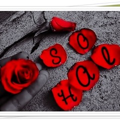 Sohal's Favorite Song