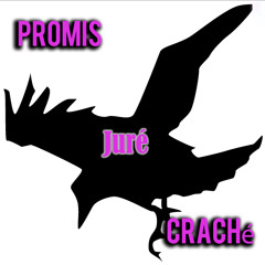 Promis Juré Craché (feat V-Flouz)