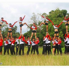 NCC Finals 2013 - LNNCHS Wildcats