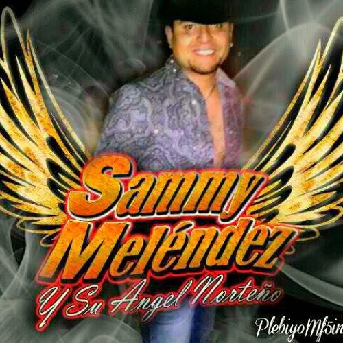 YA NOS PERTENECEMOS / WE BELONG TOGETHER - SAMMY MELENDEZ