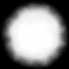 somethingNew(colab???)