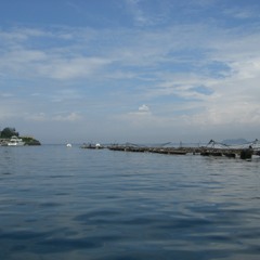 01 Only Love Can Break Your Heart (version 2)