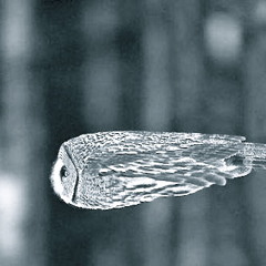 Exoplanet - Flight Of The Outcast Owl (Artette Remix)