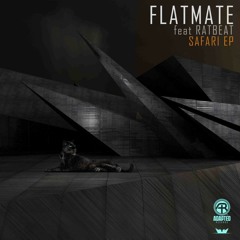 Flatmate - Valve [Adapted Records]