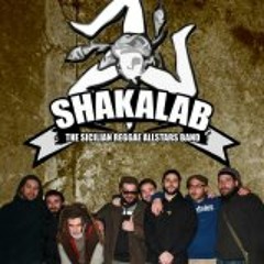 SHAKALAB feat. SUD SOUND SYSTEM - REGGAEBY (Prod. Haz) Official video version