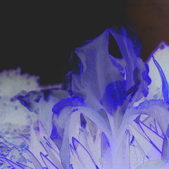 PaPaveR - Samādhi