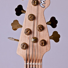 MLaghus JB6+DR Marcus Miller (slap groove)