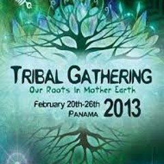 Geopradise Tribal Gathering 2013 live mix part 2