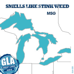 MSG - Smells Like Stink Weed (Dave Mayer This N That Mix)