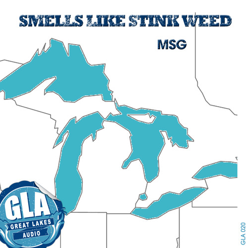 MSG - Smells Like Stink Weed (Dave Mayer This N That Mix)