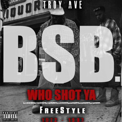 Troy Ave x BSB. - WHO SHOT YA freestyle