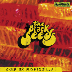 The Black Seeds - Keep On Pushing  Workshop Re-Dub