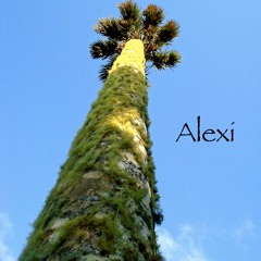 Psalm 43 - "Ancient" - "Biblical" - "Free Download"