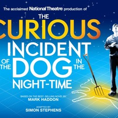 Curious Incident