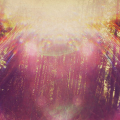 6am Crystals