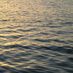 Entropy means....never having to say you're sorry (Live @ La Sala 1/12/13)