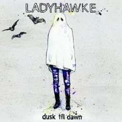 Ladyhawke - Dusk till dawn (Terrestrial Super Receiver remix)