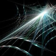 SheX² maart 2013  Five legged black spiders