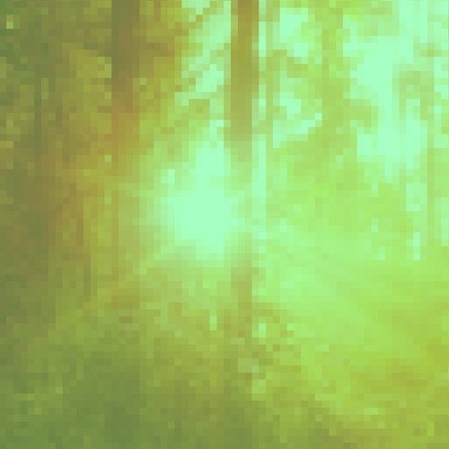 Eternal Nature