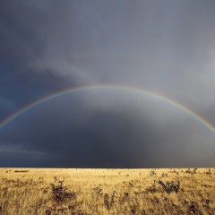 YUKI / 長い夢 (breeze again remix)