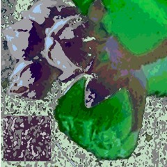 Tomcraft - Like a Roller (ZigZag Idiot Remix)