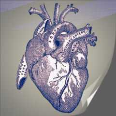 Darn Hearts (instrumental) 2013