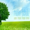 Robin Schulz - Wenn Träume fliegen lernen [DJ-Mix] mp3