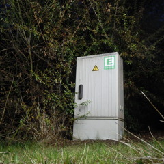 Dubnius -  ghost dog