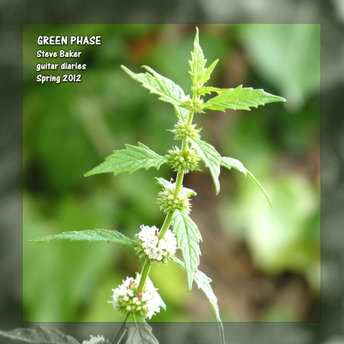 Leo Viridis (from the album 'Green Phase', available from stevebaker.bandcamp.com)