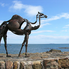 Planologic - Erabia (met Cee)