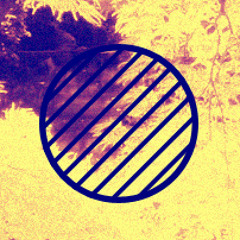 Drums of Thicket