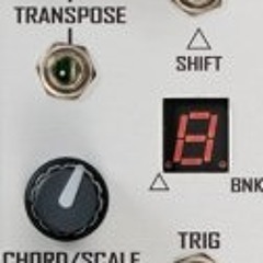 Toppobrillo - Quantimator