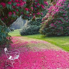 Heart Chakra Meditation - Live