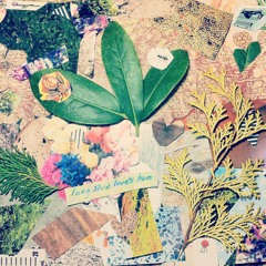 long slow love's hum