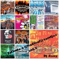 Tributo a ((Radical)) Torrijos vol.5-dj dany