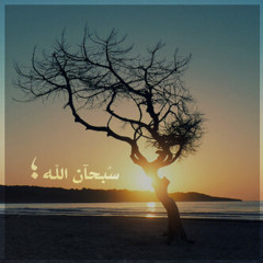 سورة القصص .ياسر الدوسري