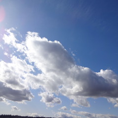 Daylight Savings Time