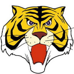 2013 RSUCHEER : TIGER ARMY