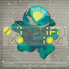 Where the Path Takes You