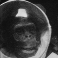 Zombie Apocalypse - Phenibytes