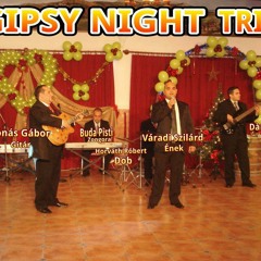 Gipsy Night Trio-szakadozott rongy vonódat mit sajnálod
